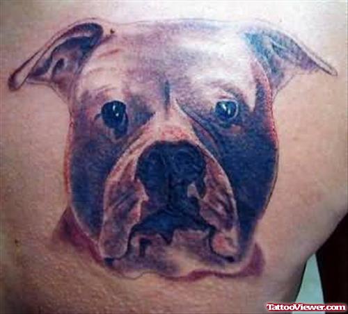 Black Bull Dog Face Tattoo