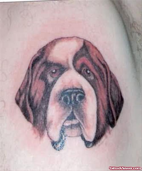 Beautiful Dog Tattoos