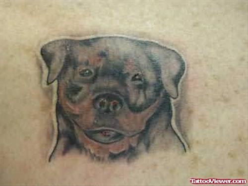 Sweet Black Dog Tattoo