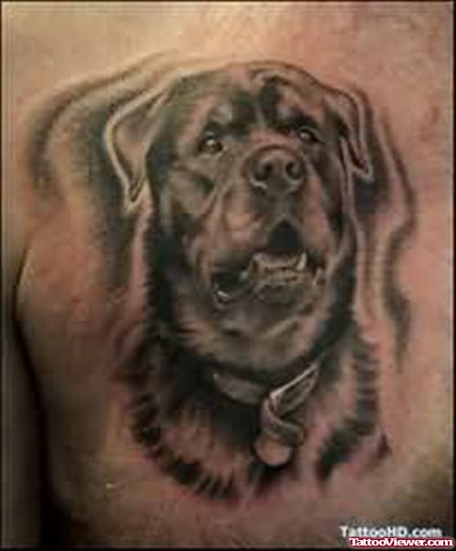 Foo Dog Tattoo Flash
