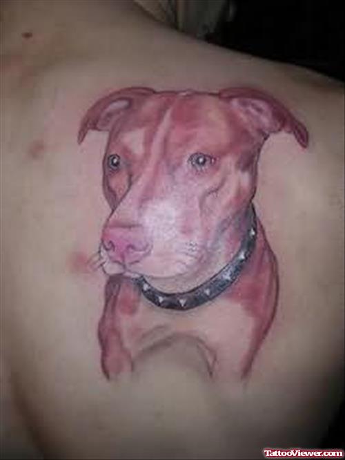 Dog Tattoo Design On Back Shoulder