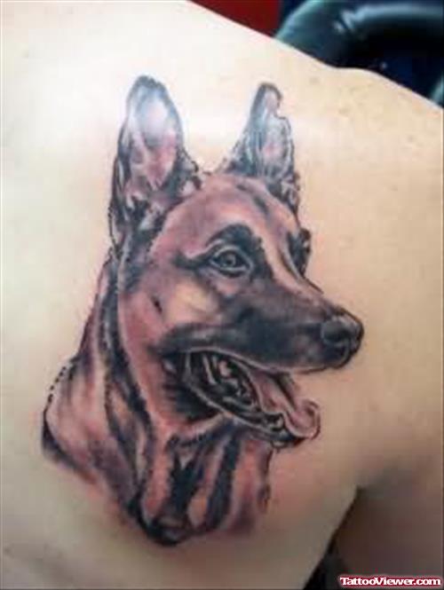 Dog Face Tattoo On Back