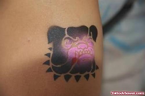 Colour face Dog Tattoo