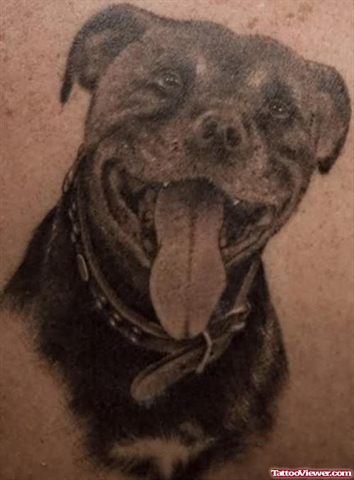 Staffordshire Terrier Dog Tattoo