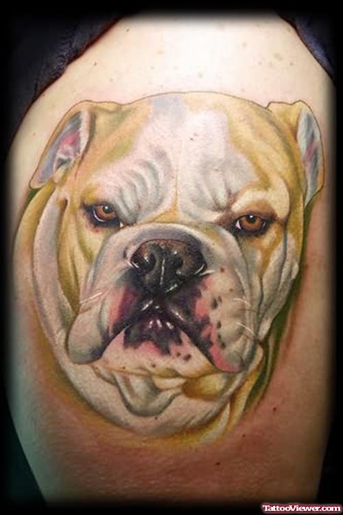 Realistic Bulldog Tattoo
