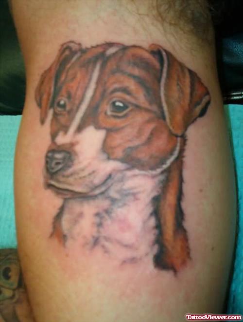 Amazing Dog Tattoo