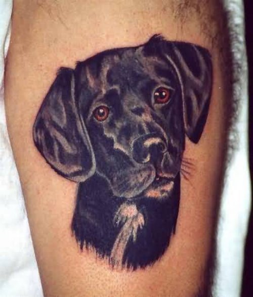 Black Dog Face Tattoo on Biceps