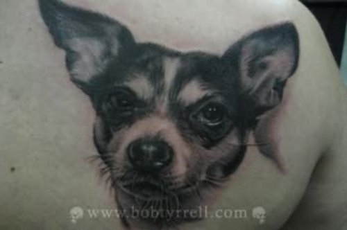 Beautiful Dog Tattoo picture On Back