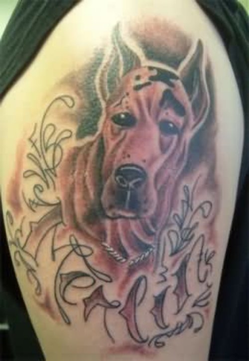 Dog Tattoos Gallery