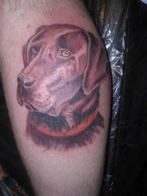 Best Dog Tattoo For Choosing