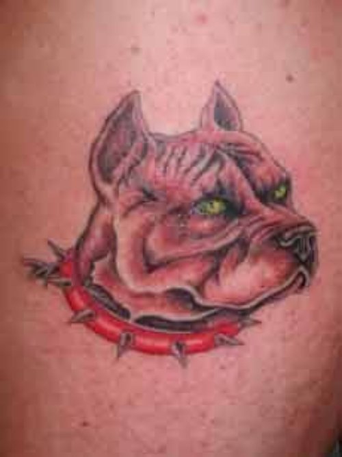 Green Eyes Dog Face Tattoo