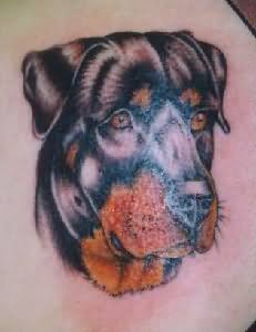 Shining Black Dog Face Tattoo