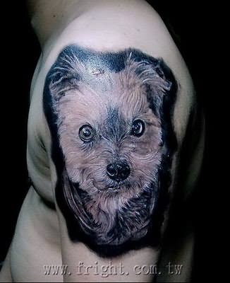 Pet Dog Tattoo On Shoulder
