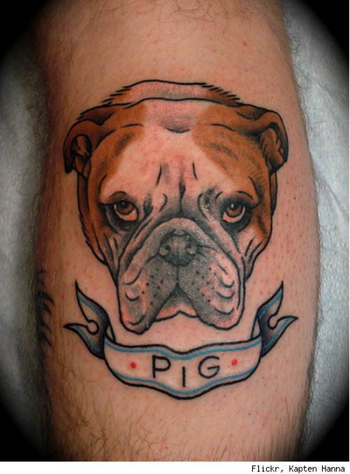 Pig Banner And Dog Head Tattoo