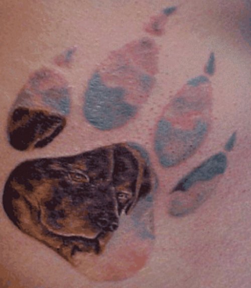Dog Face And Paw Print Tattoo