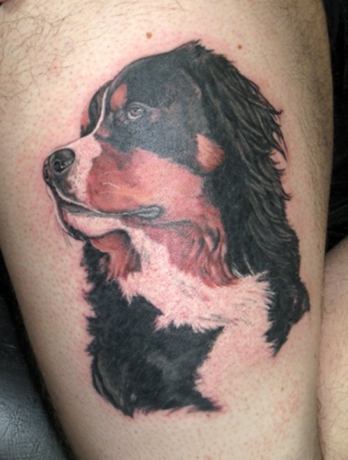 Shawn Hebrank Dog Tattoo