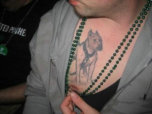 Grey Ink Pitbull Dog Tattoo On Man Chest