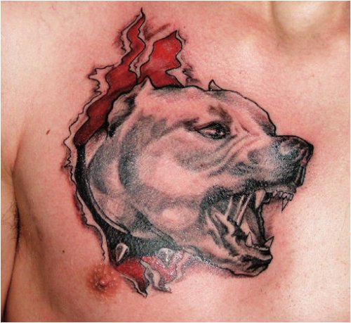Ripped Skin Dog Tattoo On Man Chest