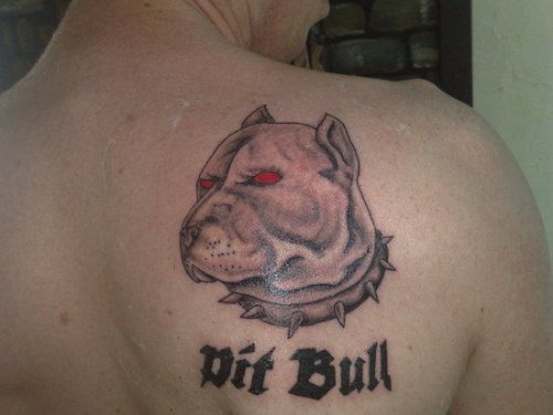 Red Eyes Pit Bull Dog Tattoo On Right Back Shoulder