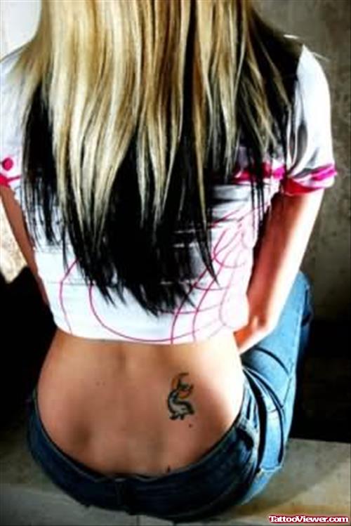 Dolphin Tattoos For Girls On Waist