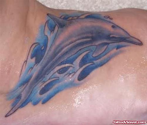 Dolphin Tattoos For Boys