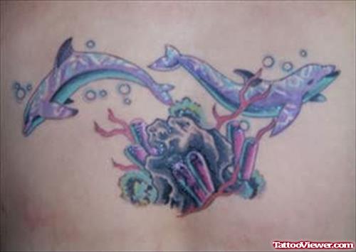 Colour Dolphin Tattoo