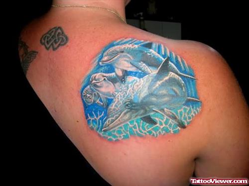 Dolphin World Tattoo On Back