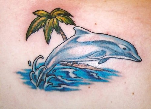 Dolphin Tattoo On Back
