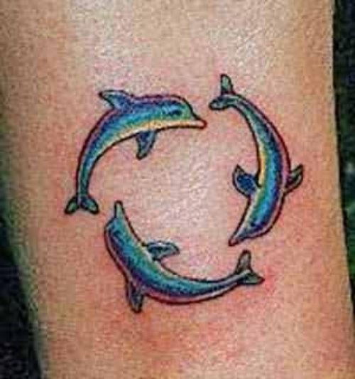 Dolphin Circle Tattoo