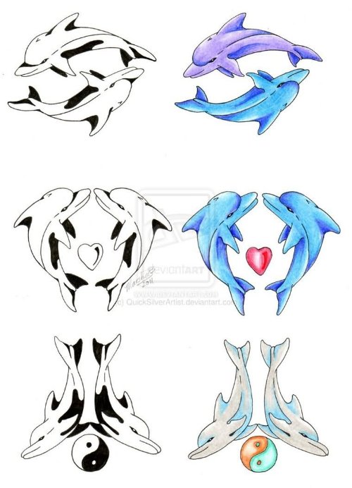 Beautiful Dolphin Tattoos Designs