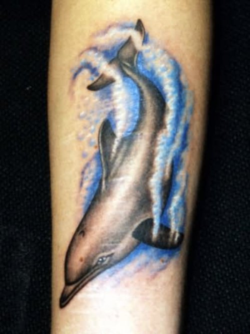 Dolphin Tattoo On Arm