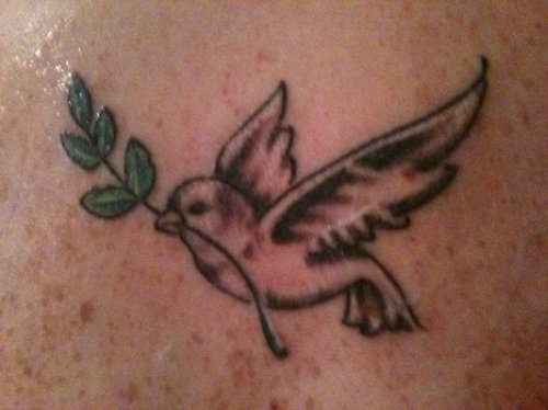 Wonderful Grey Ink Flying Dove Tattoo