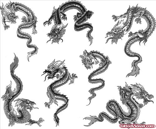 Grey Ink Dragon Tattoos Design