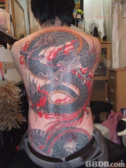 Large Color Dragon Tattoo On Full Back