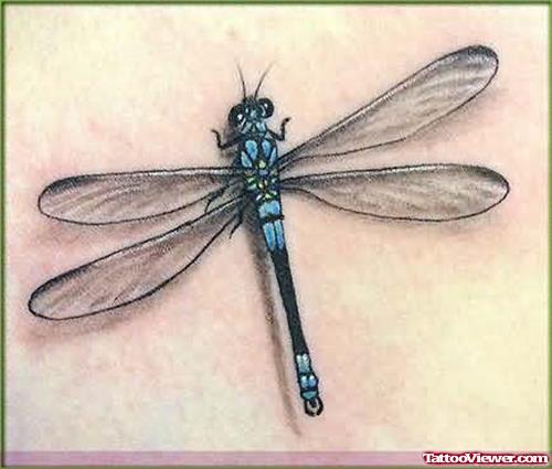Orignal Dragonfly Tattoo