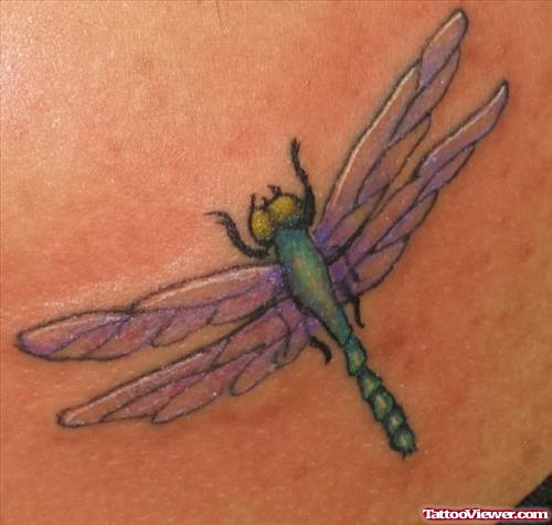 Dragonfly Tattoos - Get Idea