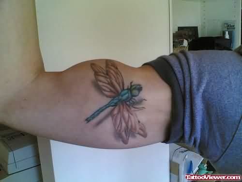Dragonfly Tattoo On Muscle