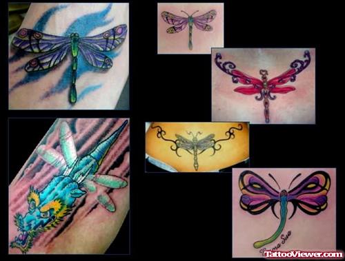 Dragonfly Tattoo Designs & Gallery Dragon Fly
