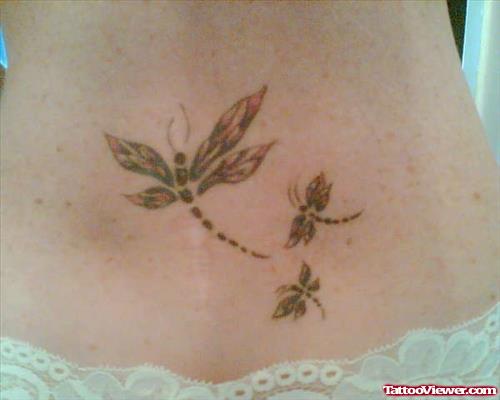 Dragonflies Tattoo On Body