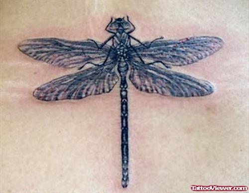 Amazing Dragonfly Tattoo