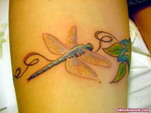 Another Very Colorful Dragonfly Tattoo