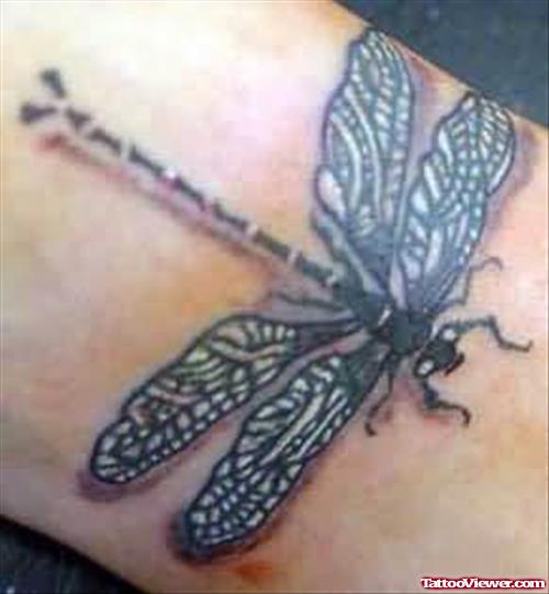 Dragonfly Closeup Tattoo Image