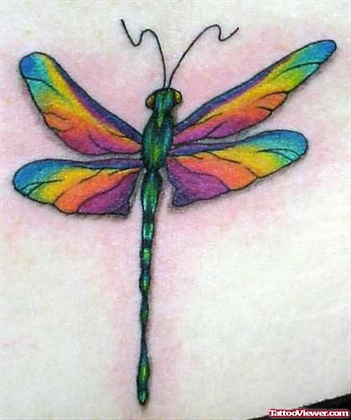 Dragonfly Tattoos Colourful