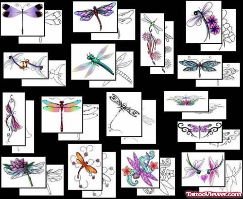 Choose Dragonfly Tattoo From Best Samples