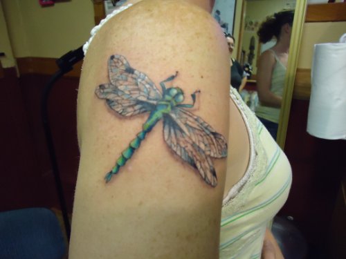 Dragonfly Tattoo On Girls Shoulder