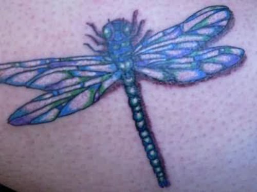 Blue Dragonfly Tattoo