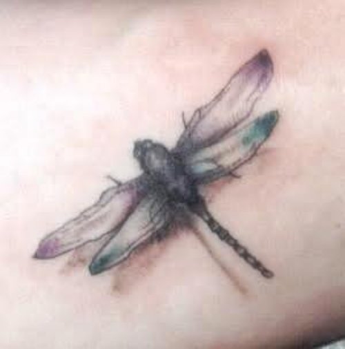 Grey Dragonfly Tattoo On Hip