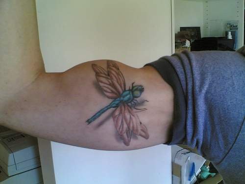 3D Dragonfly Tattoo On Muscles