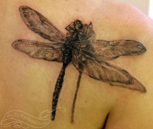 Grey Ink Dragonfly Tattoo On Right Back Shoulder