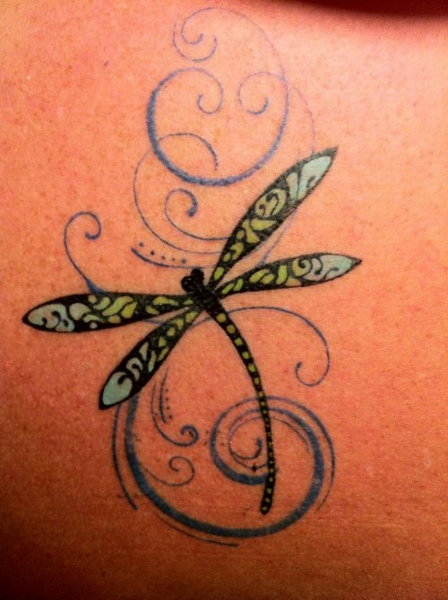 Color Ink Dragonfly Tattoo On Back